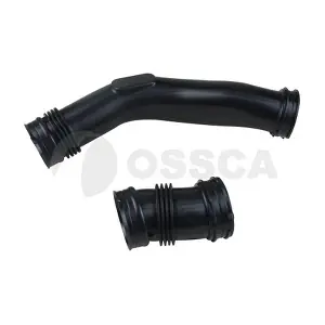 60134 OSSCA