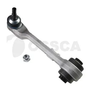 69907 OSSCA