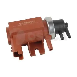 51577 OSSCA