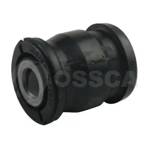 16163 OSSCA