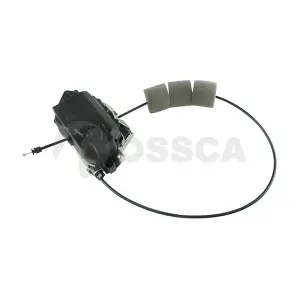 49746 OSSCA