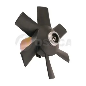 00913 OSSCA