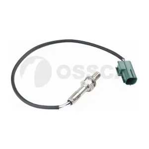 41062 OSSCA