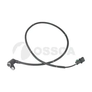 31291 OSSCA