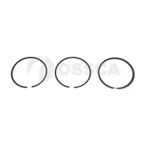 05845 OSSCA