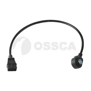20249 OSSCA