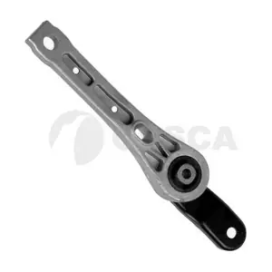 12954 OSSCA