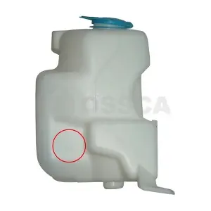 00771 OSSCA