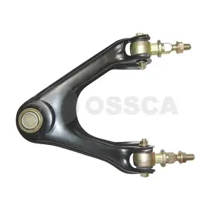 02118 OSSCA