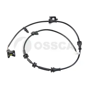 33123 OSSCA