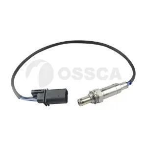 36107 OSSCA