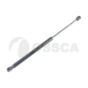 22945 OSSCA