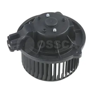 22320 OSSCA