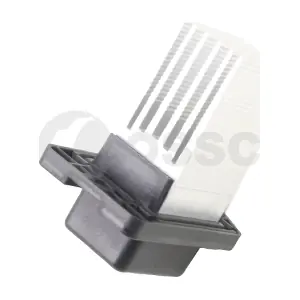 31507 OSSCA