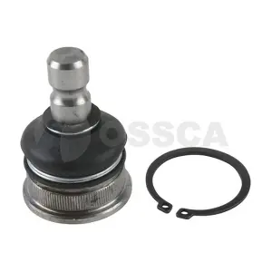 OSSCA 20666
