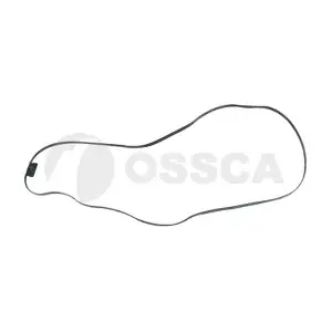25878 OSSCA