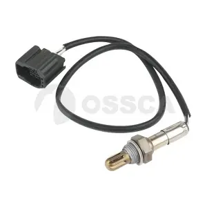 22138 OSSCA