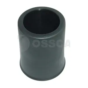 00101 OSSCA
