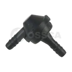 05538 OSSCA