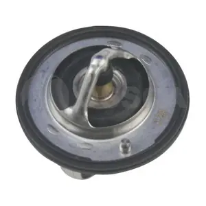26499 OSSCA