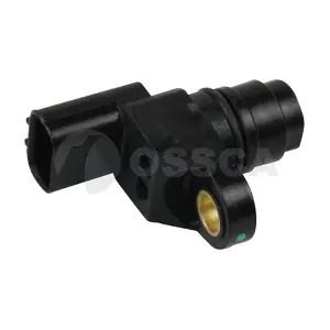 17096 OSSCA