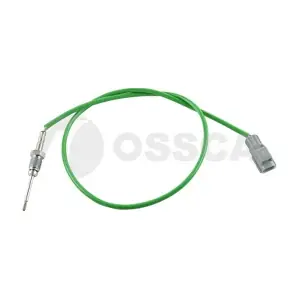 69793 OSSCA