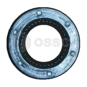 04042 OSSCA