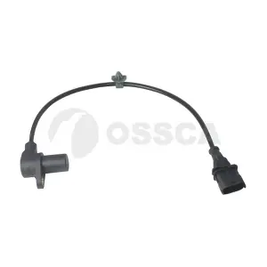 23191 OSSCA