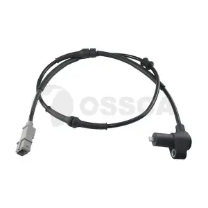 08149 OSSCA