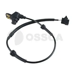 51029 OSSCA