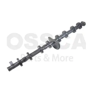 64406 OSSCA
