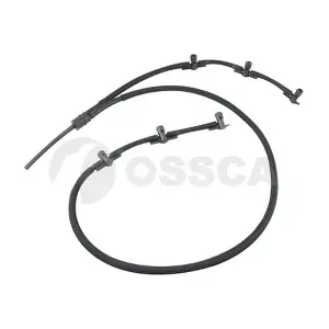 54354 OSSCA