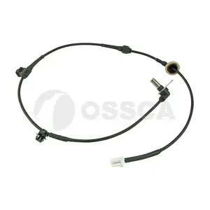 30802 OSSCA