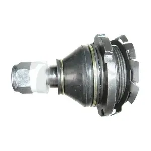 05953 OSSCA
