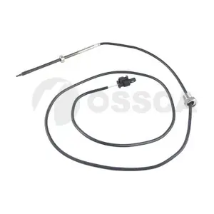 24613 OSSCA