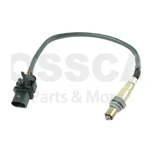 59413 OSSCA