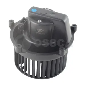 38736 OSSCA