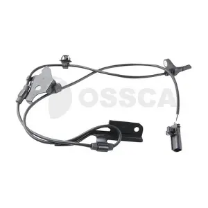 27315 OSSCA