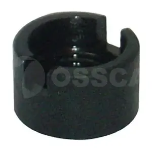 02656 OSSCA