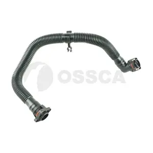 20247 OSSCA