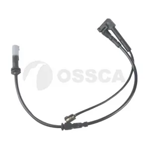 24554 OSSCA