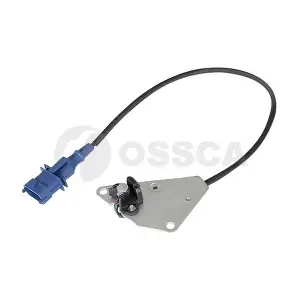31073 OSSCA