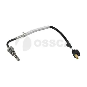 36163 OSSCA
