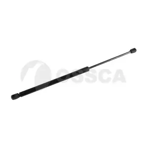 22328 OSSCA