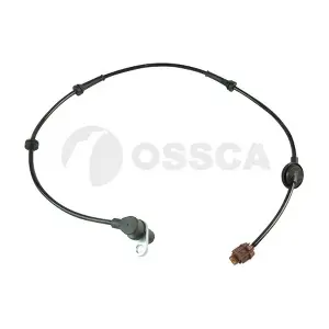 21204 OSSCA