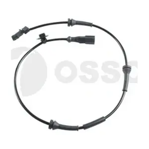 30810 OSSCA