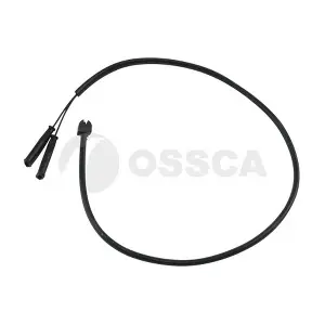 24946 OSSCA