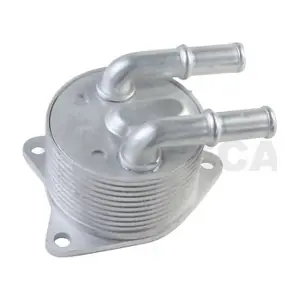 24262 OSSCA