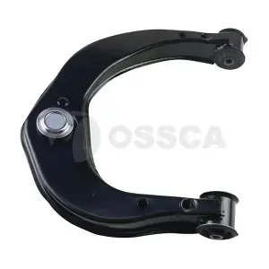 17001 OSSCA