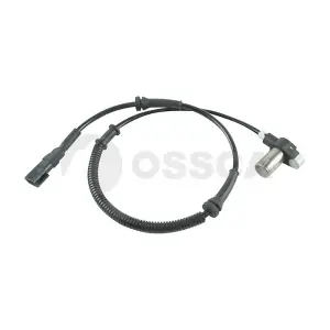 13131 OSSCA